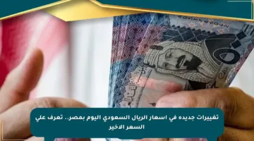تغييرات جديدة في أسعار الريال السعودي اليوم بمصر.. تعرف على السعر الأخير